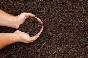 mulch